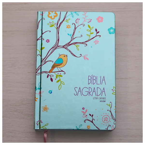 Bíblia Um Tempo Especial com Deus - NVI - Letra Grande - Capa Passáros Com Relevo