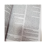 Bíblia Sagrada Leão Estrelas - NVI - Letra Normal - Capa Dura