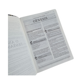 Bíblia Para Pregadoras e Líderes - ARC - Letra Normal - Geziel Gomes - Preta e Dourada