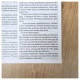 Bíblia 365 Azul - NAA - Letra Grande - Capa Brochura