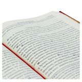 O Novo Testamento Grego - Capa Dura Vinho