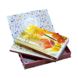 Pão Diário Mulheres - Seja Louvado - Box Para Presente