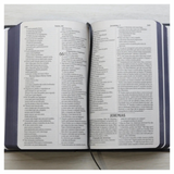 Bíblia Sagrada Ele Vive - NVI - Letra Maior - Capa Dura Ilustrada