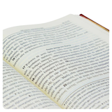 O Novo Testamento Grego - Capa Dura Vinho