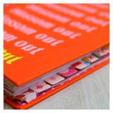 Meu Plano Perfeito Florescer - Capa Dura Neon Blossom Out