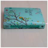 Bíblia Um Tempo Especial com Deus - NVI - Letra Grande - Capa Passáros Com Relevo