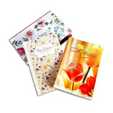 Pão Diário Mulheres - Seja Louvado - Box Para Presente