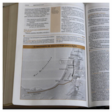 Bíblia de Estudo ACF - Letra Normal - Couro Soft Preta