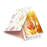 Pão Diário Mulheres - Seja Louvado - Box Para Presente