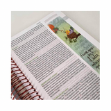 Bíblia Ilustrada Anote Rosa Brilhante - NVT - Letra Normal - Capa Dura Espiral