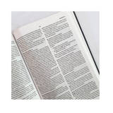 Bíblia Sagrada NVT - Letra Normal - Capa Dura - Lion Colors Pop