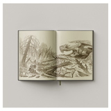 O Pequeno Peregrino Ilustrado