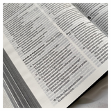 Bíblia Sagrada Ele Vive - NVI - Letra Maior - Capa Dura Ilustrada