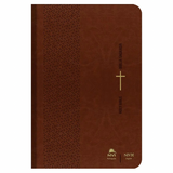 Bíblia Sagrada Bilíngue - Português E Inglês - NVI - Letra Normal - Capa Luxo Marrom
