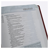 Bíblia de Estudo Thomas Nelson - NVI - Letra Normal - Capa Luxo Vinho