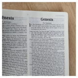 Bíblia Sagrada Bilíngue - Português E Inglês - NVI - Letra Normal - Capa Luxo Marrom