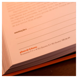 Devocional Mulheres 2026 - Viviane Martinello