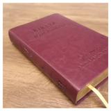 Bíblia De Estudo Joyce Meyer - NVI - Letra Média - Capa Marsala