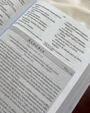 Bíblia da Mulher de Fé - NVI - Letra Grande - Courosoft Vinho Com Fechamento Carteira