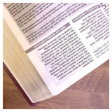 Bíblia De Estudo Joyce Meyer - NVI - Letra Média - Capa Marsala