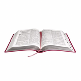 Bíblia Sagrada Letra Gigante - NTLH - Com Índice Pink