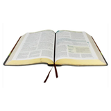 Bíblia De Estudo Em Ordem Cronológica Aplicação Pessoal - ARC - Letra Normal - Capa Marrom/Verde Luxo