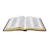 Bíblia Sagrada Supergigante - NAA - Capa Marrom Luxo