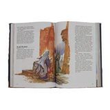 Bíblia da Família em 100 Passos - (Português de Portugal)