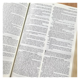 Bíblia Sagrada Holy Bible - Português e Inglês - NVI - Letra Normal - Azul