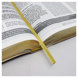 Bíblia De Estudo Joyce Meyer - NVI - Letra Grande - Capa Luxo Dourada