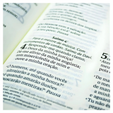 Bíblia Sagrada - Letra Grande - NVI - Marrom - Mapas mentais e Palavras de Jesus em destaque