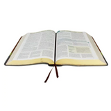 Bíblia de Estudo em Ordem Cronológica Aplicação Pessoal - ARC - Letra Normal - Capa Marrom Claro/Escuro