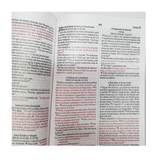 Bíblia Sagrada Leão Estrelas - NVI - Letra Normal - Capa Dura