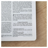 Bíblia Sagrada Leão Azul - NVI - Letra Normal - Capa Dura