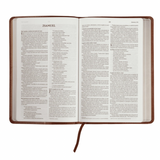 Bíblia Sagrada - NVI - capa luxo ultrafina - castanho