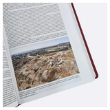 Bíblia de Estudo Thomas Nelson - NVI - Letra Normal - Capa Luxo Vinho