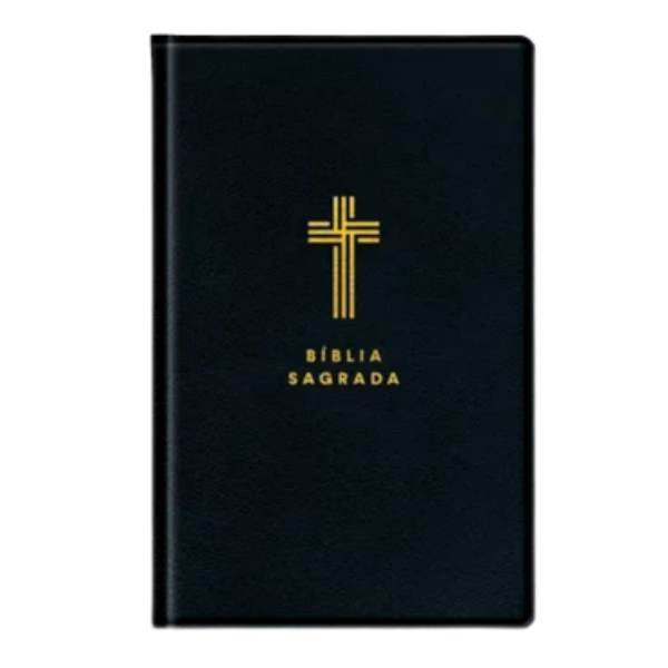 Bíblia Sagrada - NVI - Letra Gigante - Preta Com Índice - Mapas mentais e Palavras de Jesus em destaque