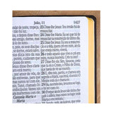 Bíblia Sagrada com Harpa Avivada e Corinhos - ARC - Letra Jumbo - Capa Semiflexível Bordo