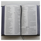 Bíblia Sagrada Vão Pelo Mundo - NVI - Letra Maior - Capa Dura Ilustrada