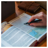 Bíblia de Estudo Thomas Nelson - NVI - Letra Normal - Capa Luxo Vinho