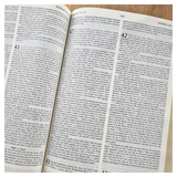 Bíblia Sagrada - Holy Bible - Português E Inglês - NVI Letra Normal - Pink