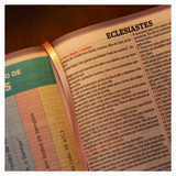 Bíblia de Estudo King James 1611 - KJA 400 Anos - Full Collor - Capa Dura Rosa Bebê