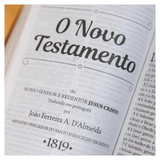 Bíblia JFA 1819 - Standard - Letra Grande - Capa Luxo Marrom