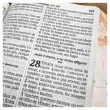 Bíblia Sagrada - ARC - Letra Extra Gigante - Capa Flexível Soft Touch Rosa Poema