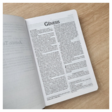 Bíblia Sagrada Leão Azul - NVI - Letra Normal - Capa Dura