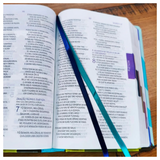 Bíblia da Turma - NTLH - Capa Dura Ilustrada