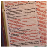 Bíblia de Estudo King James 1611 - KJA 400 Anos - Full Collor - Capa Dura Rosa Bebê