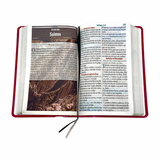 Bíblia Sagrada Letra Jumbo - ARC - Harpa Avivada e Corinhos - Capa PU Luxo Jardim Vermelho