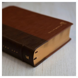 Bíblia De Estudo ACF - Letra Normal - Couro Soft Marrom