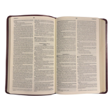 Bíblia Sagrada Slim - NVT - Preta - Mapas mentais e Palavras de Jesus em destaque